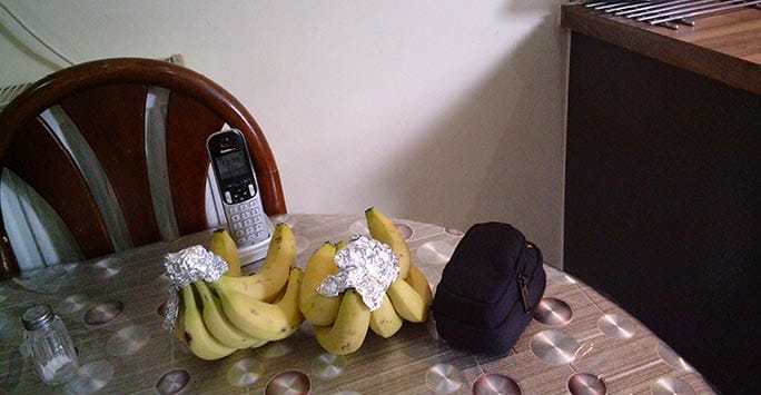 Bananas with foil spots on a dining table next to a black bag and a cordless phone, suggesting a casual or home setting possibly related to health or dietary research.